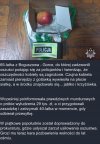 Trafiła kosa na kamień