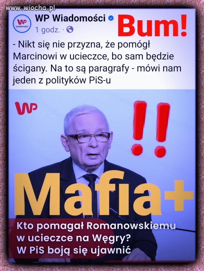 Pisowscy przestępcy