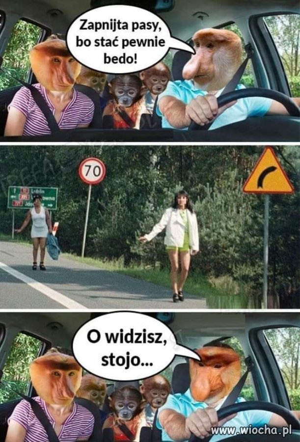 Trafnie ujęte
