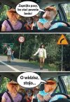 Trafnie ujęte