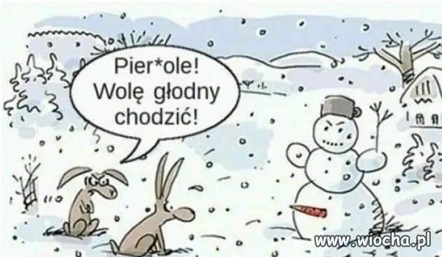 Zła zima 