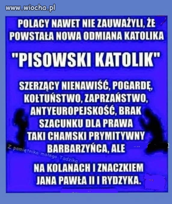 Nawet nie wiedzą jacy są żałośni