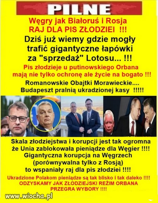 Mafia zlodziei Kaczyńskiego szuka azylu...