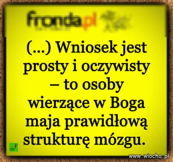 Tymczasem we frondzie