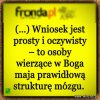 Tymczasem we frondzie