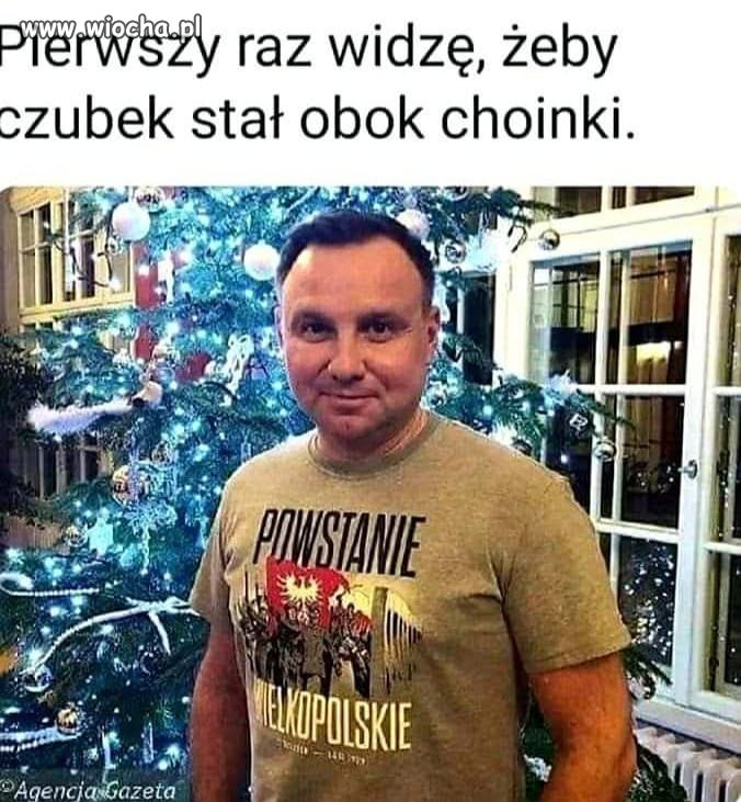 Choinka.