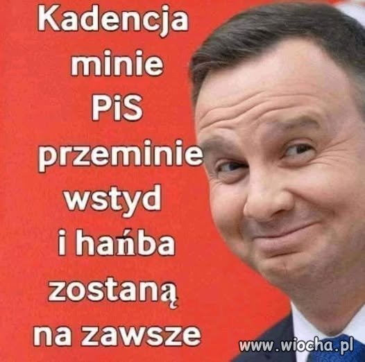 Komik z pałacu