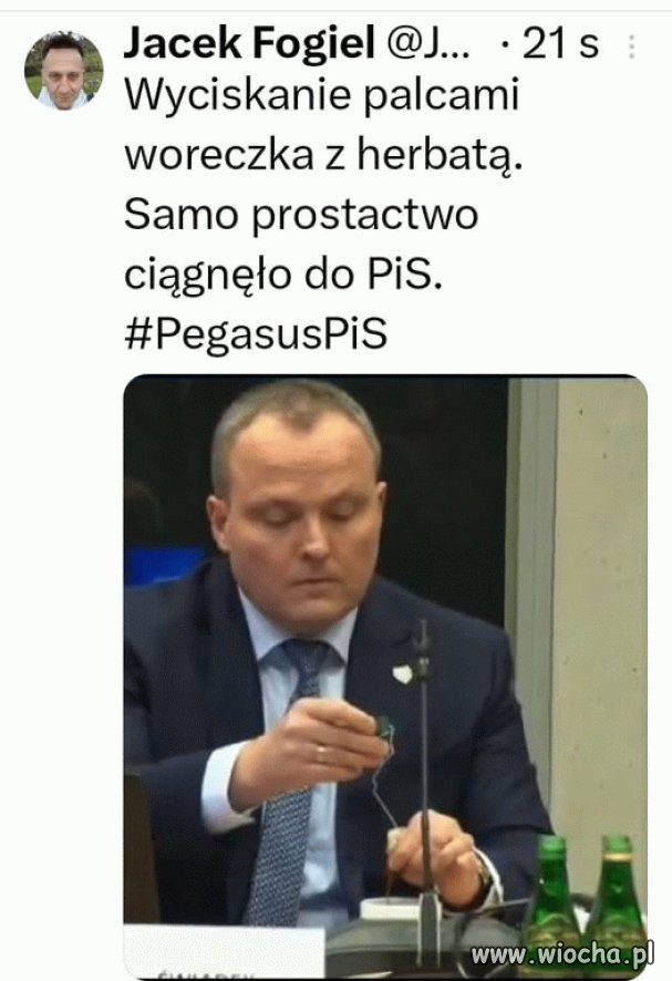 Typowy pisowiec