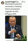 Typowy pisowiec