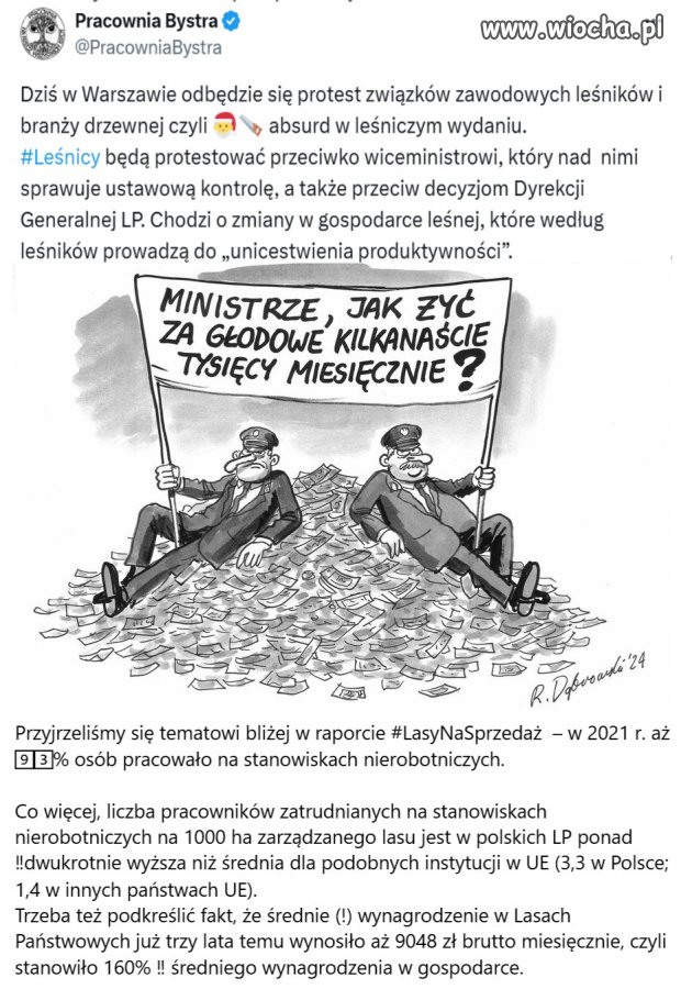 Eldorado, które trzeba wreszcie uporządkować.