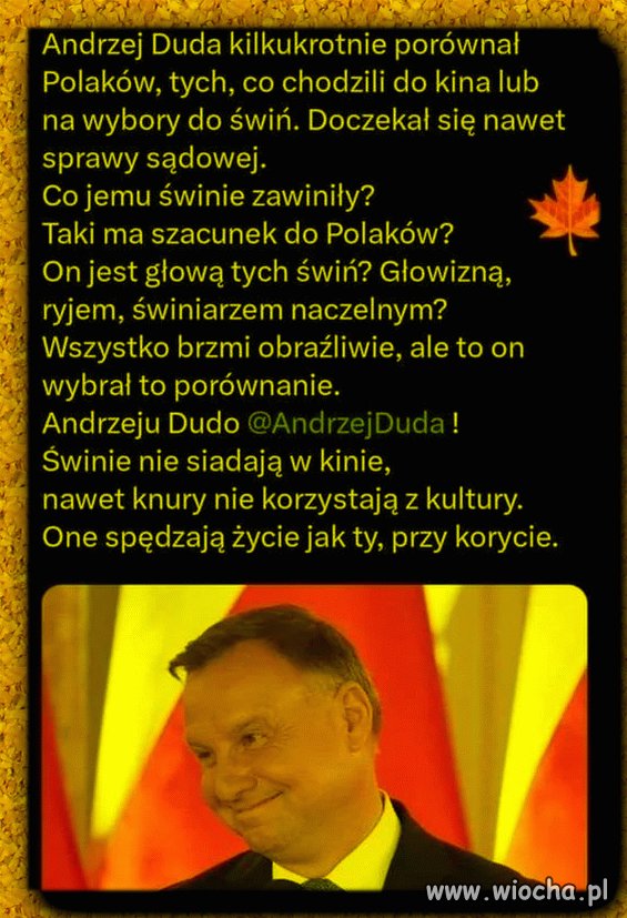 Świniarz naczelny