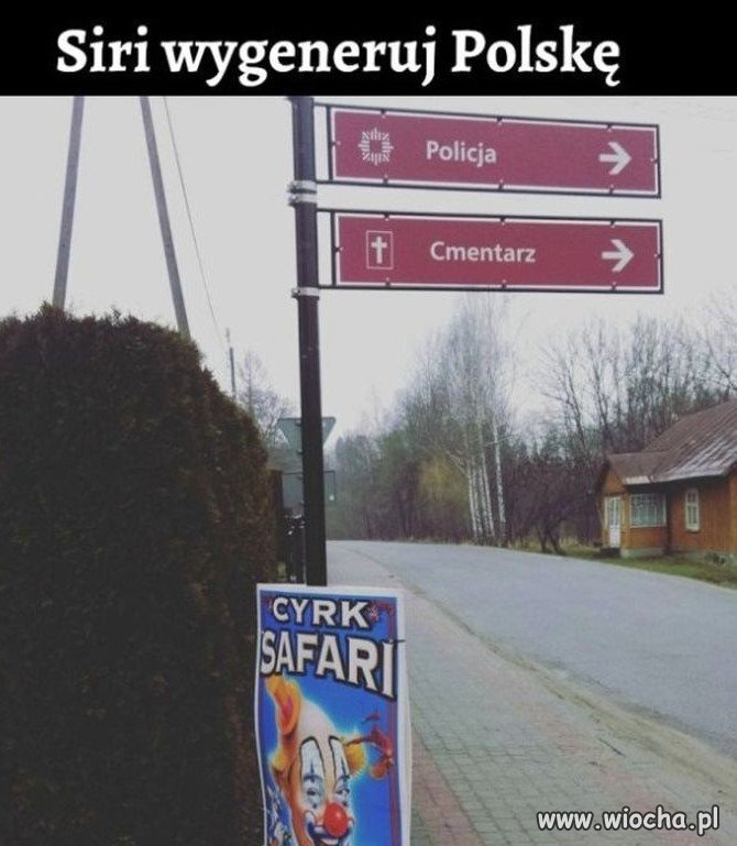 Cyrk na kółkach