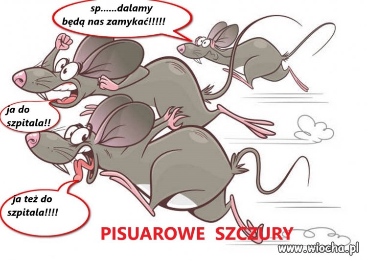 Tchórzliwe,śmierdzące