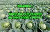 Zagadka na poziomie przedszkolaka