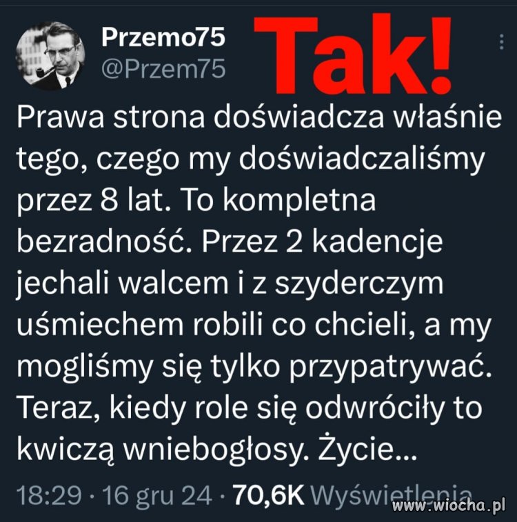 Niech wyją i kwiczą. Tylko nie wolno im odpuścić !