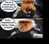A to uj jeden