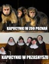 Te z Przasnysza są znacznie większe
