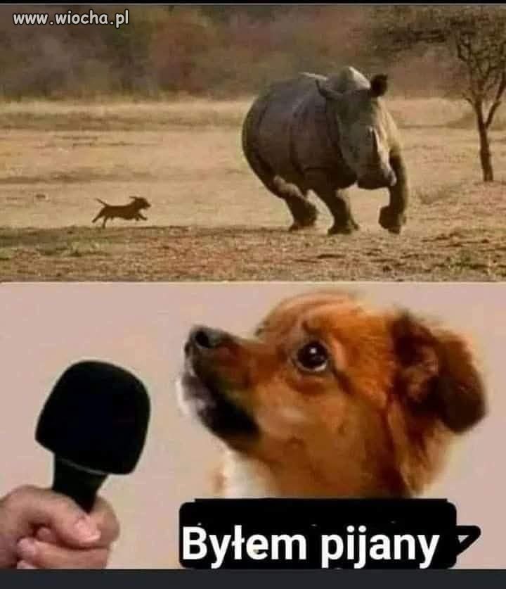 Tak było 
