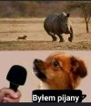 Tak było 
