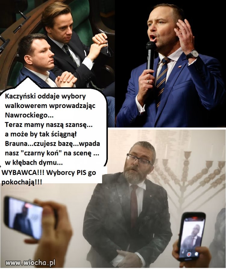 Czarny koń