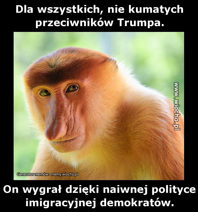 Dla wszystkich, nie kumatych przeciwników Trumpa.