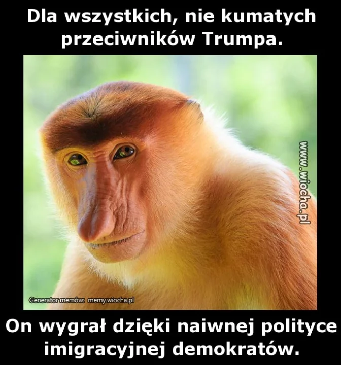 Dla wszystkich, nie kumatych przeciwników Trumpa.
