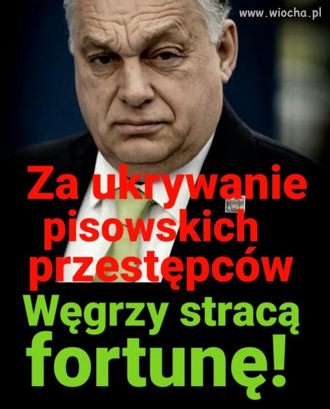 Milion Euro dziennie kary za udzielanie azylu ...