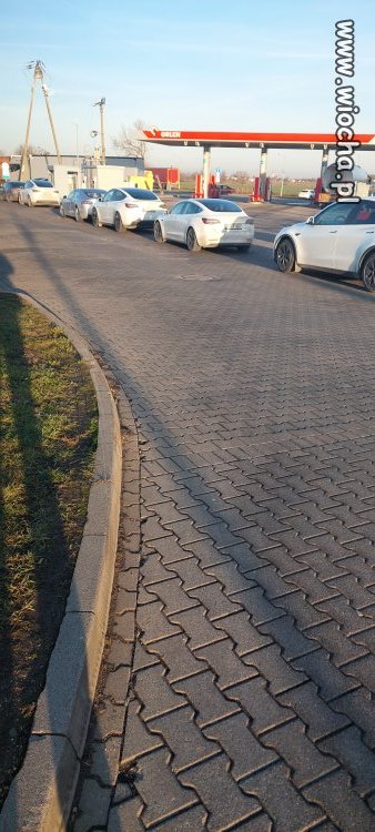 Chyba jakiś zlot miłośników Tesli 