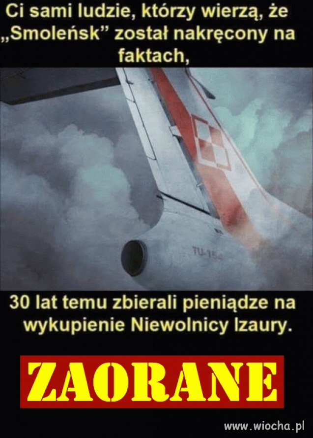 Cała prawda o pisowskim elektoracie