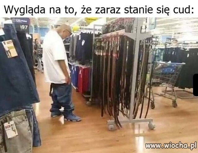 Wygląda na to że tak