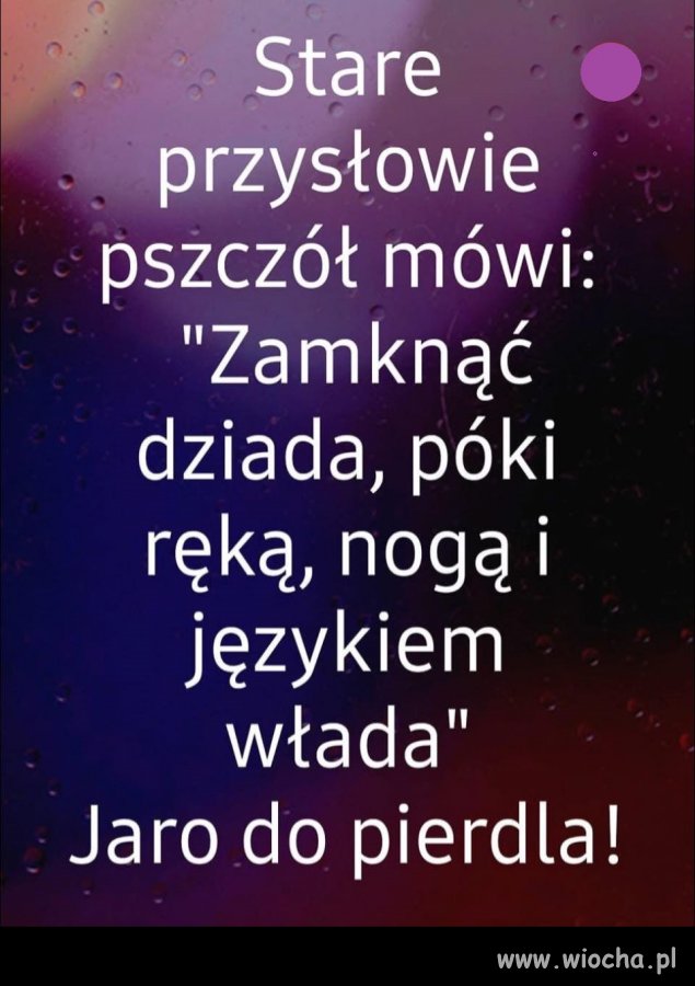 Tu nie ma co zwlekać !