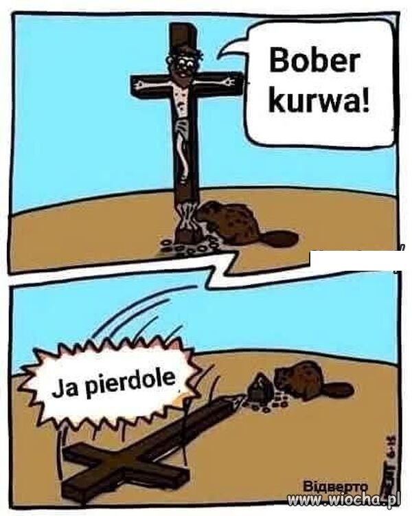 I cały misterny plan w pisdu.