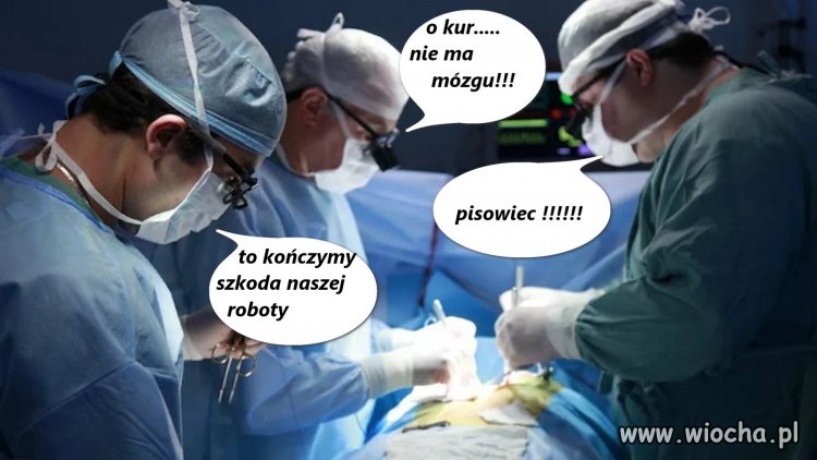Stwierdzono