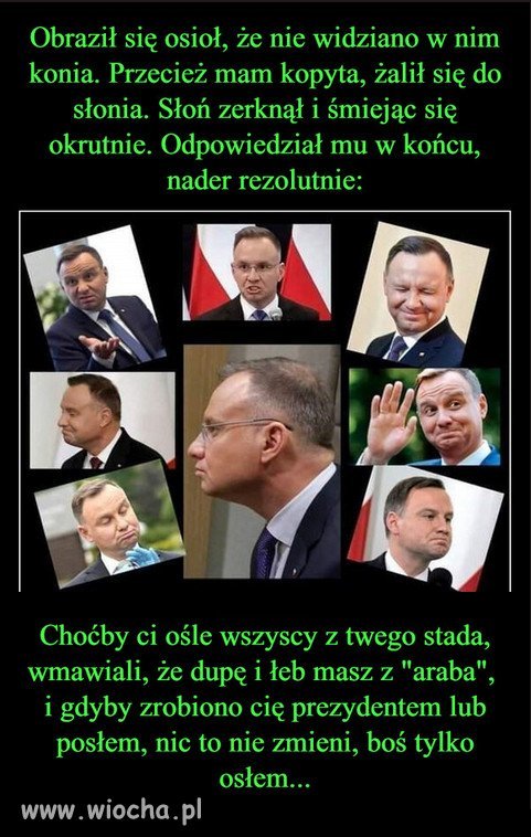 W PiS osly maja pierwszenstwo, do wysokich stanowisk!