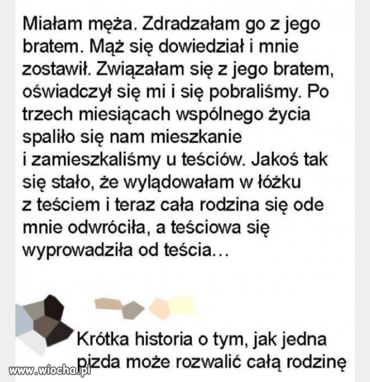Krótka historia 