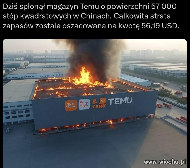 Ubezpieczyciel lubi to! 