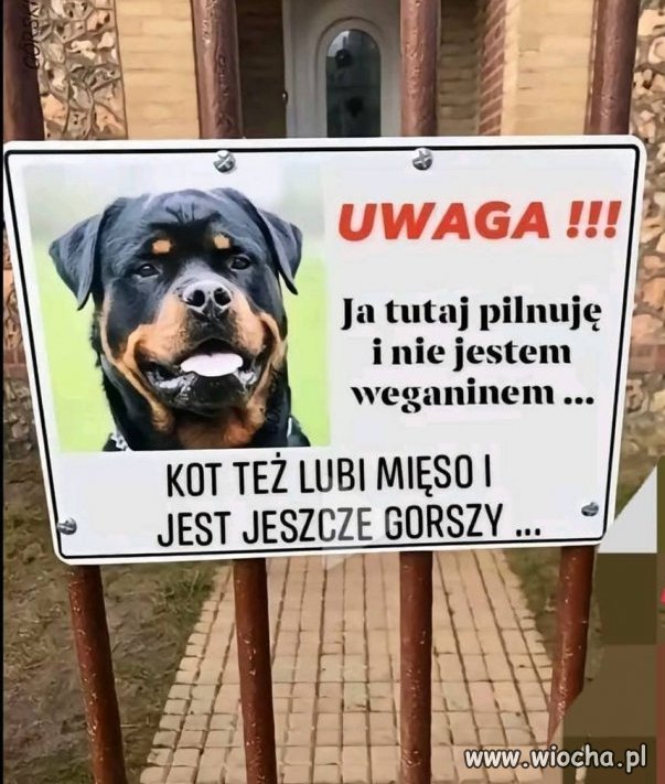Ja tutaj pilnuje 