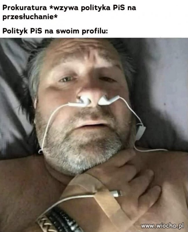 Chorowici ci PiS-owcy