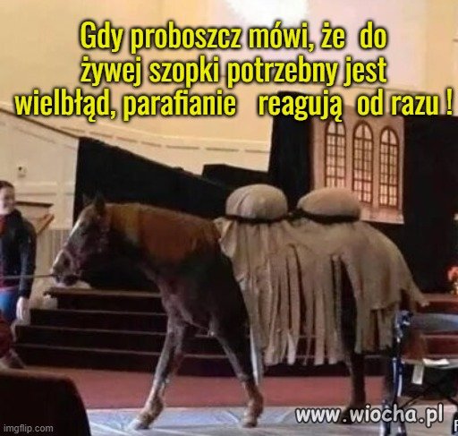 Skoro wafelek może udawać mięsko, 