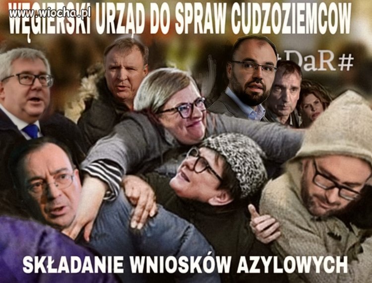 Prawilne bydło.