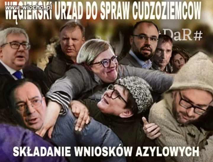 Prawilne bydło.
