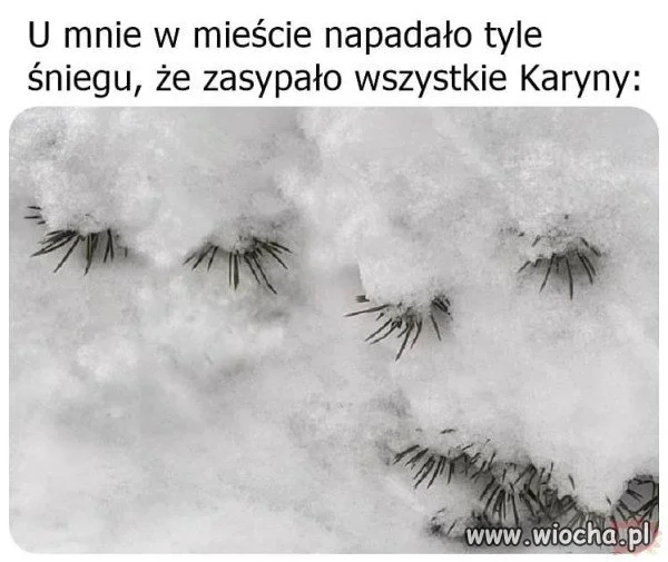 Pierwszy śnieg.