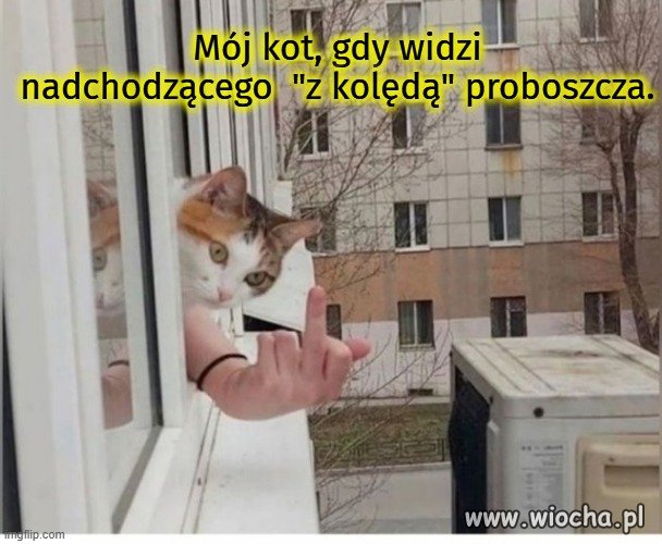 To bardzo mądry zwierzak,