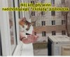 To bardzo mądry zwierzak,