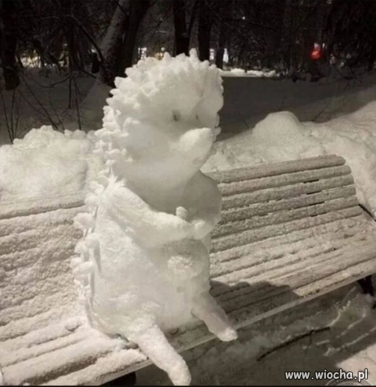 Śnieżny jeż, śnieżny jeż