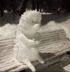 Śnieżny jeż, śnieżny jeż