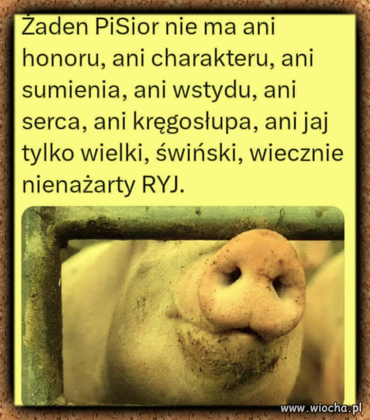 Szczera prawda