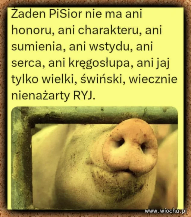Szczera prawda