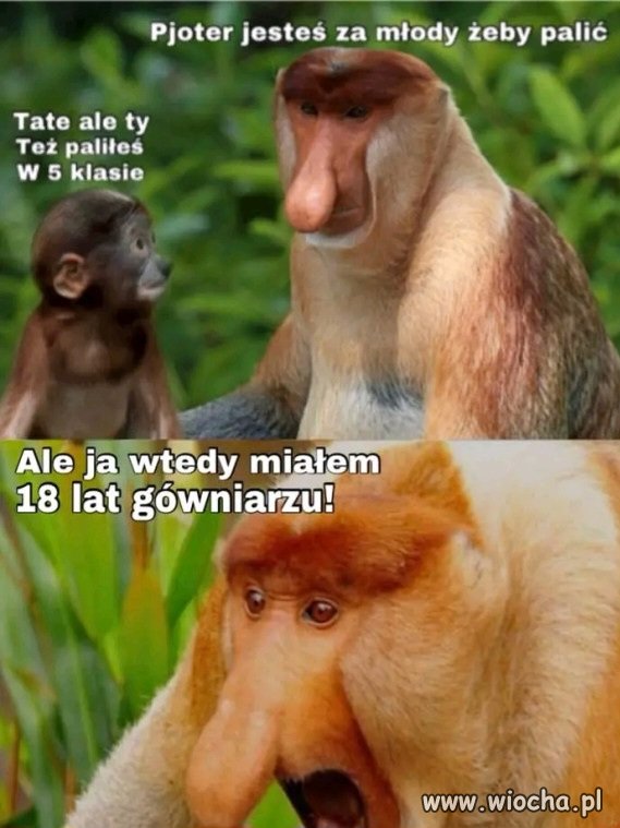Palić, czy nie palić? 