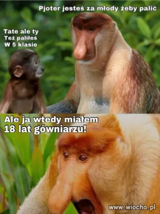 Palić, czy nie palić? 